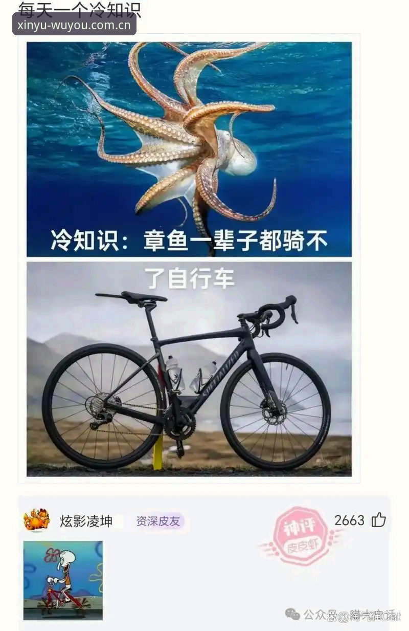 资深用户亲测：哈哈体育最新网址安卓版下载安装全攻略